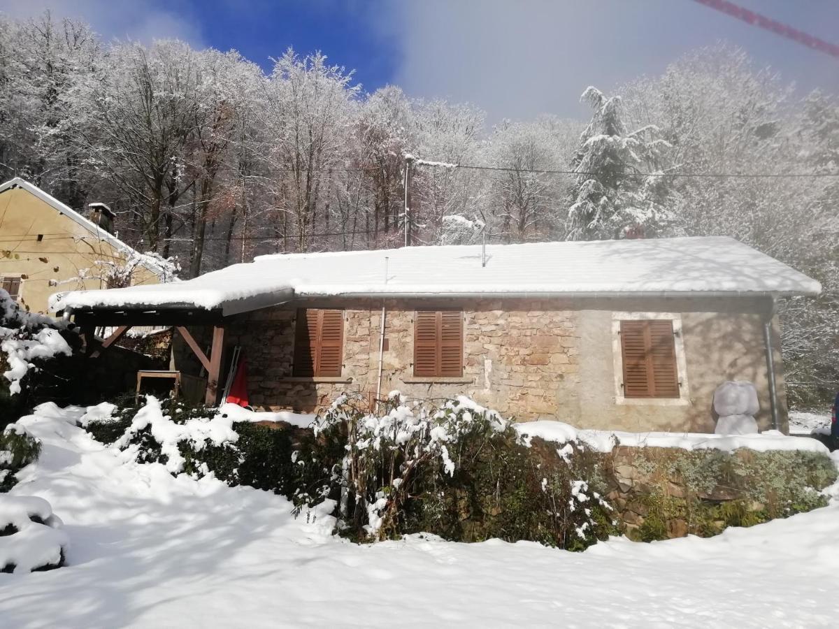 Gite Rural Les Maires D'Avaux Saint-Bresson Exterior foto